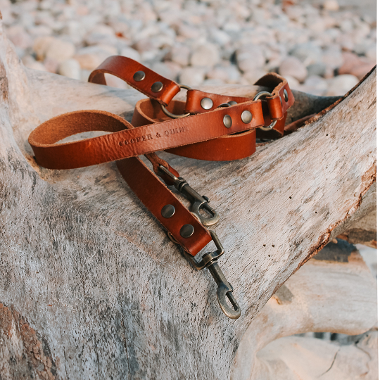 Rusty Red Limited Edition Hondenriem - Cooper & Quint